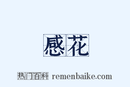 感花是什么意思的图片